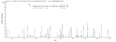 Based on the SEQUEST from database of E.coli host and target protein, the LC-MS/MS Analysis result of this product could indicate that this peptide derived from E.coli-expressed Pseudomonas aeruginosa (strain ATCC 15692 / PAO1 / 1C / PRS 101 / LMG 12228) lasB.Recombinant Pseudomonas Aeruginosa Elastase (LASB) Protein (His-SUMO)