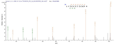 Based on the SEQUEST from database of E.coli host and target protein, the LC-MS/MS Analysis result of this product could indicate that this peptide derived from E.coli-expressed Pseudomonas aeruginosa (strain ATCC 15692 / PAO1 / 1C / PRS 101 / LMG 12228) lasA.