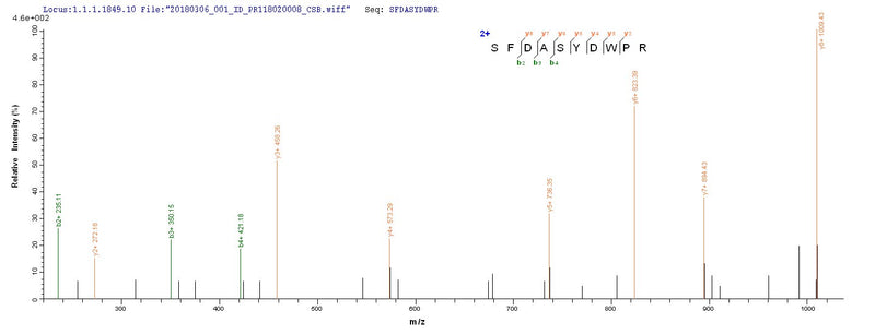 Based on the SEQUEST from database of E.coli host and target protein, the LC-MS/MS Analysis result of this product could indicate that this peptide derived from E.coli-expressed Pseudomonas aeruginosa (strain ATCC 15692 / PAO1 / 1C / PRS 101 / LMG 12228) lasA.