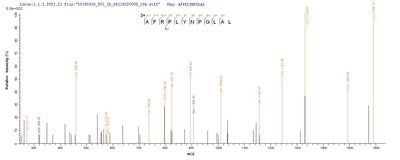Based on the SEQUEST from database of E.coli host and target protein, the LC-MS/MS Analysis result of this product could indicate that this peptide derived from E.coli-expressed Pseudomonas aeruginosa (strain ATCC 15692 / PAO1 / 1C / PRS 101 / LMG 12228) lasA.