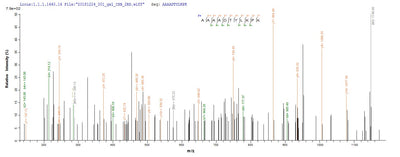 Based on the SEQUEST from database of E.coli host and target protein, the LC-MS/MS Analysis result of this product could indicate that this peptide derived from E.coli-expressed Klebsiella pneumoniae mrkA.Recombinant Klebsiella Pneumoniae Fimbrial Subunit Type 3 (MRKA) Protein (His-SUMO)