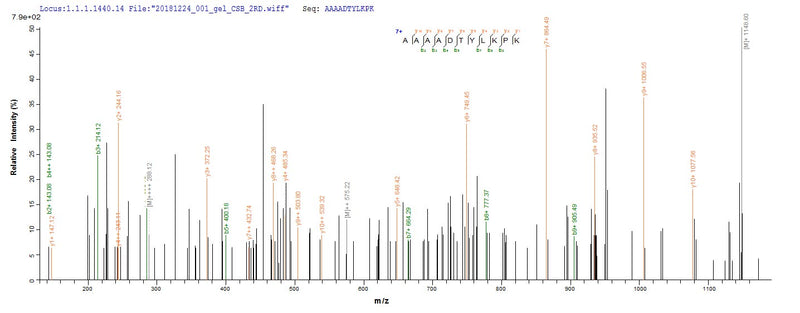 Based on the SEQUEST from database of E.coli host and target protein, the LC-MS/MS Analysis result of this product could indicate that this peptide derived from E.coli-expressed Klebsiella pneumoniae mrkA.Recombinant Klebsiella Pneumoniae Fimbrial Subunit Type 3 (MRKA) Protein (His-SUMO)