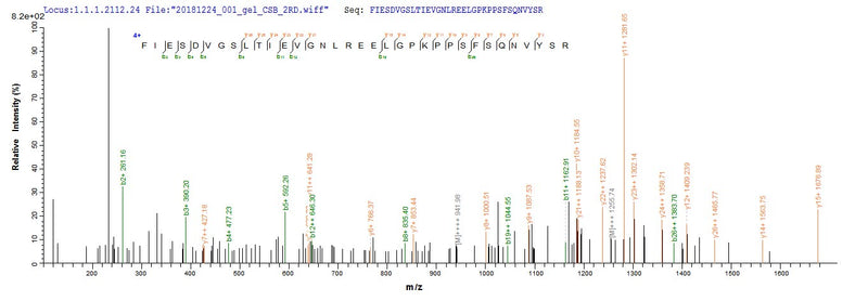 Based on the SEQUEST from database of E.coli host and target protein, the LC-MS/MS Analysis result of this product could indicate that this peptide derived from E.coli-expressed Enterobacteria phage T4 (Bacteriophage T4) wac.Recombinant Enterobacteria Phage T4 Fibritin (WAC) Protein (His-SUMO)