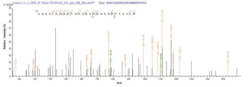 Based on the SEQUEST from database of E.coli host and target protein, the LC-MS/MS Analysis result of this product could indicate that this peptide derived from E.coli-expressed Enterobacteria phage T4 (Bacteriophage T4) wac.Recombinant Enterobacteria Phage T4 Fibritin (WAC) Protein (His-SUMO)
