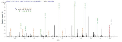 Based on the SEQUEST from database of E.coli host and target protein, the LC-MS/MS Analysis result of this product could indicate that this peptide derived from E.coli-expressed Escherichia coli traY.