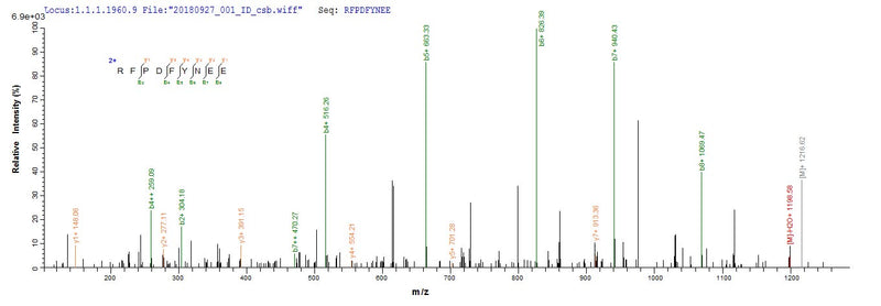 Based on the SEQUEST from database of E.coli host and target protein, the LC-MS/MS Analysis result of this product could indicate that this peptide derived from E.coli-expressed Escherichia coli traY.