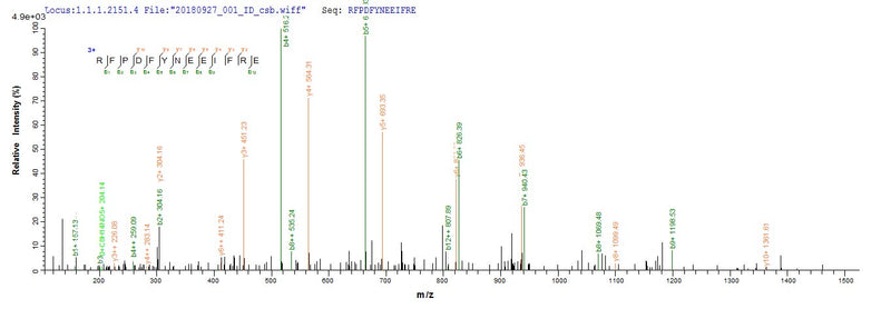 Based on the SEQUEST from database of E.coli host and target protein, the LC-MS/MS Analysis result of this product could indicate that this peptide derived from E.coli-expressed Escherichia coli traY.