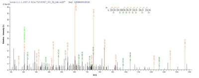 Based on the SEQUEST from database of E.coli host and target protein, the LC-MS/MS Analysis result of this product could indicate that this peptide derived from E.coli-expressed Vesicular stomatitis Indiana virus (strain Glasgow) (VSIV) N.Recombinant Vesicular Stomatitis Indiana Virus Nucleoprotein (N) Protein (His&Myc)