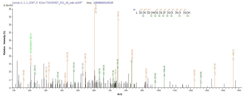 Based on the SEQUEST from database of E.coli host and target protein, the LC-MS/MS Analysis result of this product could indicate that this peptide derived from E.coli-expressed Vesicular stomatitis Indiana virus (strain Glasgow) (VSIV) N.Recombinant Vesicular Stomatitis Indiana Virus Nucleoprotein (N) Protein (His&Myc)