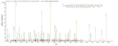 Based on the SEQUEST from database of E.coli host and target protein, the LC-MS/MS Analysis result of this product could indicate that this peptide derived from E.coli-expressed Vesicular stomatitis Indiana virus (strain Glasgow) (VSIV) N.Recombinant Vesicular Stomatitis Indiana Virus Nucleoprotein (N) Protein (His&Myc)