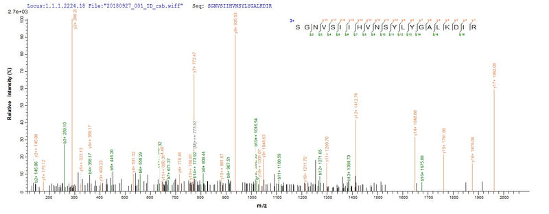 Based on the SEQUEST from database of E.coli host and target protein, the LC-MS/MS Analysis result of this product could indicate that this peptide derived from E.coli-expressed Vesicular stomatitis Indiana virus (strain Glasgow) (VSIV) N.Recombinant Vesicular Stomatitis Indiana Virus Nucleoprotein (N) Protein (His&Myc)