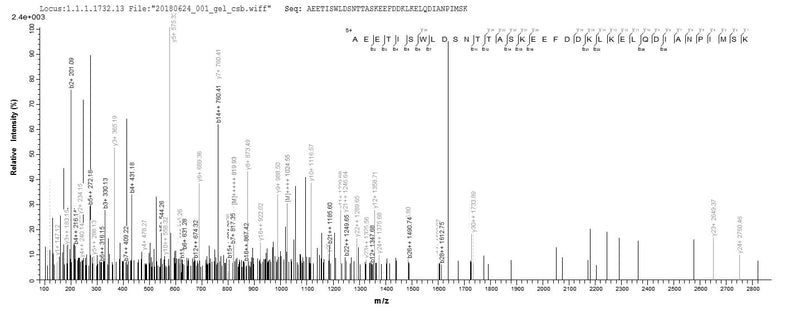 Based on the SEQUEST from database of E.coli host and target protein, the LC-MS/MS Analysis result of this product could indicate that this peptide derived from E.coli-expressed Saccharomyces cerevisiae (strain ATCC 204508 / S288c) (Baker&Recombinant Saccharomyces Cerevisiae Heat Shock Protein Ssa1 (SSA1) Protein (His&Myc)