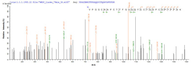 Based on the SEQUEST from database of E.coli host and target protein, the LC-MS/MS Analysis result of this product could indicate that this peptide derived from E.coli-expressed Nicotiana tabacum (Common tobacco) AP24.Recombinant Nicotiana Tabacum Osmotin (AP24) Protein (His-SUMO)