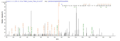 Based on the SEQUEST from database of E.coli host and target protein, the LC-MS/MS Analysis result of this product could indicate that this peptide derived from E.coli-expressed Nicotiana tabacum (Common tobacco) AP24.Recombinant Nicotiana Tabacum Osmotin (AP24) Protein (His-SUMO)