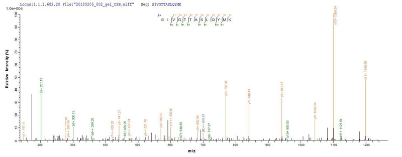 Based on the SEQUEST from database of E.coli host and target protein, the LC-MS/MS Analysis result of this product could indicate that this peptide derived from E.coli-expressed Clostridium botulinum botA.Recombinant Clostridium Botulinum Botulinum Neurotoxin Type A (BOTA) Protein (His-SUMO)