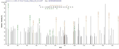 Based on the SEQUEST from database of E.coli host and target protein, the LC-MS/MS Analysis result of this product could indicate that this peptide derived from E.coli-expressed Gallus gallus (Chicken) Mylk.Recombinant Chicken Myosin Light Chain Kinase, Smooth Muscle (MYLK) Protein (His-SUMO&MYC)