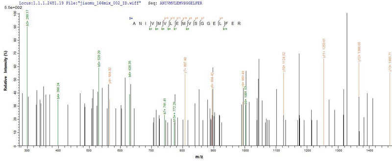 Based on the SEQUEST from database of E.coli host and target protein, the LC-MS/MS Analysis result of this product could indicate that this peptide derived from E.coli-expressed Gallus gallus (Chicken) Mylk.Recombinant Chicken Myosin Light Chain Kinase, Smooth Muscle (MYLK) Protein (His-SUMO&MYC)