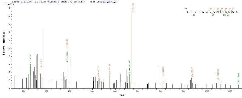 Based on the SEQUEST from database of E.coli host and target protein, the LC-MS/MS Analysis result of this product could indicate that this peptide derived from E.coli-expressed Gallus gallus (Chicken) Mylk.Recombinant Chicken Myosin Light Chain Kinase, Smooth Muscle (MYLK) Protein (His-SUMO&MYC)