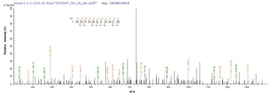 Based on the SEQUEST from database of E.coli host and target protein, the LC-MS/MS Analysis result of this product could indicate that this peptide derived from E.coli-expressed Enterobacteria phage T4 (Bacteriophage T4) dsbA.