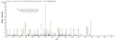 Based on the SEQUEST from database of E.coli host and target protein, the LC-MS/MS Analysis result of this product could indicate that this peptide derived from E.coli-expressed Enterobacteria phage T4 (Bacteriophage T4) dsbA.