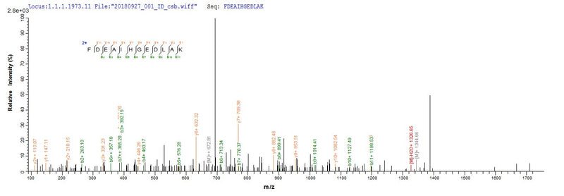 Based on the SEQUEST from database of E.coli host and target protein, the LC-MS/MS Analysis result of this product could indicate that this peptide derived from E.coli-expressed Enterobacteria phage T4 (Bacteriophage T4) dsbA.