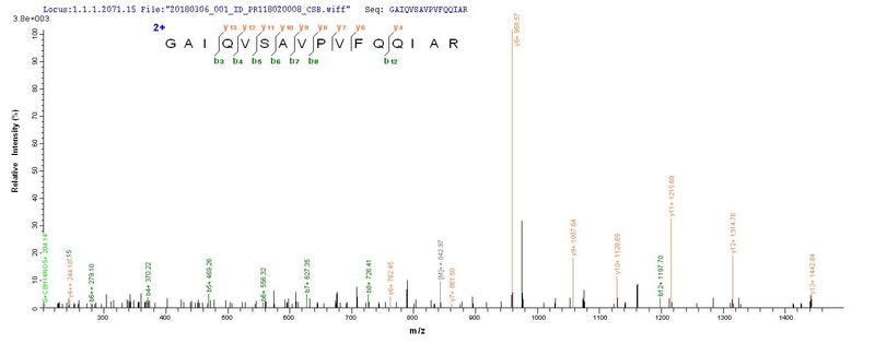 Based on the SEQUEST from database of E.coli host and target protein, the LC-MS/MS Analysis result of this product could indicate that this peptide derived from E.coli-expressed Pseudomonas aeruginosa bla.Recombinant Pseudomonas Aeruginosa Beta-Lactamase Oxa-10 (BLA) Protein (His-SUMO)