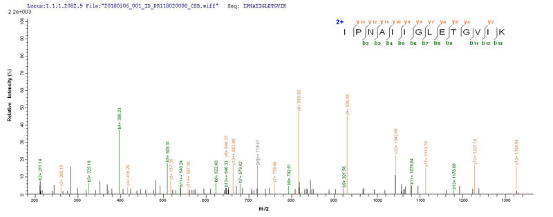 Based on the SEQUEST from database of E.coli host and target protein, the LC-MS/MS Analysis result of this product could indicate that this peptide derived from E.coli-expressed Pseudomonas aeruginosa bla.Recombinant Pseudomonas Aeruginosa Beta-Lactamase Oxa-10 (BLA) Protein (His-SUMO)