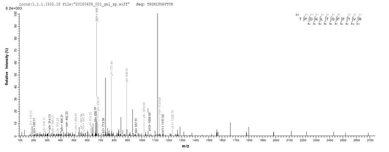 Based on the SEQUEST from database of E.coli host and target protein, the LC-MS/MS Analysis result of this product could indicate that this peptide derived from E.coli-expressed Lolium perenne (Perennial ryegrass) N/A.Recombinant Lolium Perenne Pollen Allergen Lol P 1 Protein (His&Myc)
