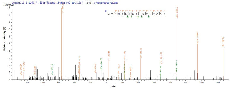 Based on the SEQUEST from database of E.coli host and target protein, the LC-MS/MS Analysis result of this product could indicate that this peptide derived from E.coli-expressed Betula pendula (European white birch) (Betula verrucosa) BETVIA.Recombinant Betula Pendula Major Pollen Allergen Bet V 1-A (BETVIA) Protein (His-SUMO)