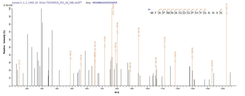 Based on the SEQUEST from database of E.coli host and target protein, the LC-MS/MS Analysis result of this product could indicate that this peptide derived from E.coli-expressed Treponema pallidum (strain Nichols) tpd.