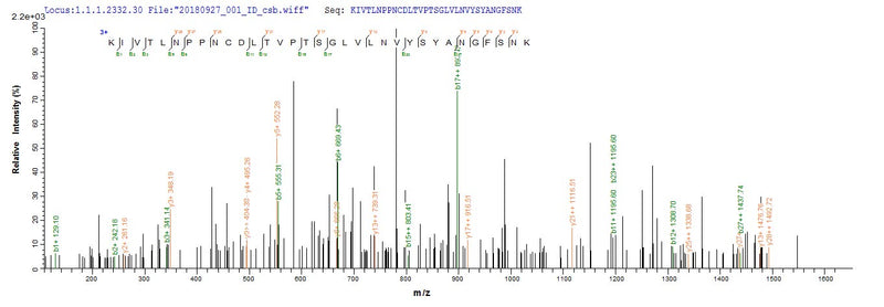 Based on the SEQUEST from database of E.coli host and target protein, the LC-MS/MS Analysis result of this product could indicate that this peptide derived from E.coli-expressed Phytophthora cryptogea N/A.Recombinant Phytophthora Cryptogea Beta-Elicitin Cryptogein (CRY) Protein (His&Myc)