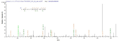 Based on the SEQUEST from database of E.coli host and target protein, the LC-MS/MS Analysis result of this product could indicate that this peptide derived from E.coli-expressed Phytophthora cryptogea N/A.Recombinant Phytophthora Cryptogea Beta-Elicitin Cryptogein (CRY) Protein (His&Myc)