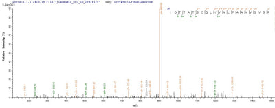 Based on the SEQUEST from database of E.coli host and target protein, the LC-MS/MS Analysis result of this product could indicate that this peptide derived from E.coli-expressed Bovine coronavirus (strain Mebus) (BCoV) (BCV) S.Recombinant Bovine Coronavirus Spike Glycoprotein (S) Protein (His)