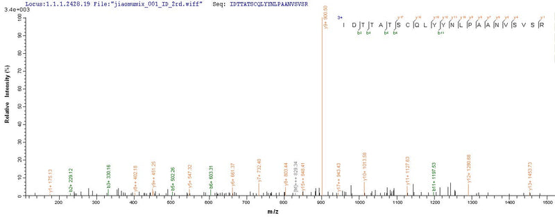 Based on the SEQUEST from database of E.coli host and target protein, the LC-MS/MS Analysis result of this product could indicate that this peptide derived from E.coli-expressed Bovine coronavirus (strain Mebus) (BCoV) (BCV) S.Recombinant Bovine Coronavirus Spike Glycoprotein (S) Protein (His)