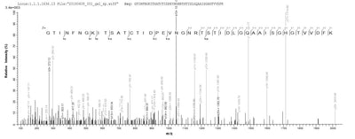 Based on the SEQUEST from database of E.coli host and target protein, the LC-MS/MS Analysis result of this product could indicate that this peptide derived from E.coli-expressed Escherichia coli fanC.Recombinant E.Coli K99 Fimbrial Protein (FANC)