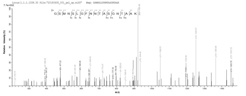 Based on the SEQUEST from database of E.coli host and target protein, the LC-MS/MS Analysis result of this product could indicate that this peptide derived from E.coli-expressed Escherichia coli fanC.Recombinant E.Coli K99 Fimbrial Protein (FANC)