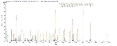Based on the SEQUEST from database of E.coli host and target protein, the LC-MS/MS Analysis result of this product could indicate that this peptide derived from E.coli-expressed Clostridium botulinum botD.Recombinant Clostridium Botulinum Botulinum Neurotoxin Type D (BOTD) Protein (His-B2M)