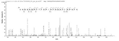 Based on the SEQUEST from database of E.coli host and target protein, the LC-MS/MS Analysis result of this product could indicate that this peptide derived from E.coli-expressed Human respiratory syncytial virus B (strain 18537) G.Recombinant Human Respiratory Syncytial Virus B Major Surface Glycoprotein G (G) Protein (His)