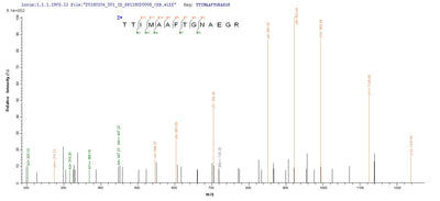 Based on the SEQUEST from database of E.coli host and target protein, the LC-MS/MS Analysis result of this product could indicate that this peptide derived from E.coli-expressed Influenza A virus (strain A/Fort Warren/1/1950 H1N1) NP.Recombinant Influenza A Virus Nucleoprotein (NP) Protein (His-SUMO)