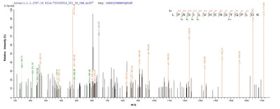 Based on the SEQUEST from database of E.coli host and target protein, the LC-MS/MS Analysis result of this product could indicate that this peptide derived from E.coli-expressed Escherichia coli (strain K12) nfsA.