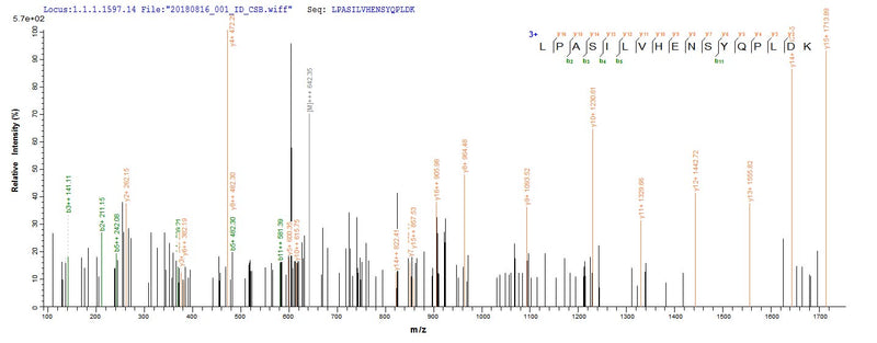 Based on the SEQUEST from database of E.coli host and target protein, the LC-MS/MS Analysis result of this product could indicate that this peptide derived from E.coli-expressed Escherichia coli (strain K12) nfsA.