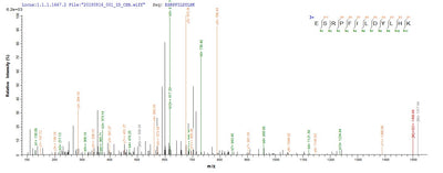 Based on the SEQUEST from database of E.coli host and target protein, the LC-MS/MS Analysis result of this product could indicate that this peptide derived from E.coli-expressed Escherichia coli (strain K12) nfsA.