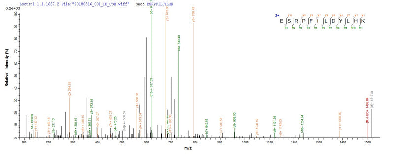 Based on the SEQUEST from database of E.coli host and target protein, the LC-MS/MS Analysis result of this product could indicate that this peptide derived from E.coli-expressed Escherichia coli (strain K12) nfsA.