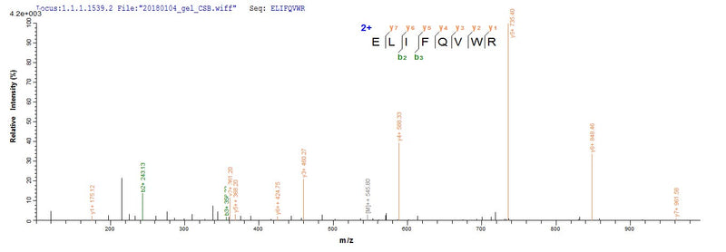Based on the SEQUEST from database of E.coli host and target protein, the LC-MS/MS Analysis result of this product could indicate that this peptide derived from E.coli-expressed Simian immunodeficiency virus (isolate PBj14/BCL-3) (SIV-sm) (Simian immunodeficiency virus sooty mangabey monkey) vpx.Recombinant Simian Immunodeficiency Virus Protein Vpx (VPX) Protein (His-SUMO)