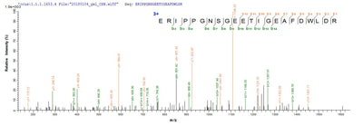 Based on the SEQUEST from database of E.coli host and target protein, the LC-MS/MS Analysis result of this product could indicate that this peptide derived from E.coli-expressed Simian immunodeficiency virus (isolate PBj14/BCL-3) (SIV-sm) (Simian immunodeficiency virus sooty mangabey monkey) vpx.Recombinant Simian Immunodeficiency Virus Protein Vpx (VPX) Protein (His-SUMO)