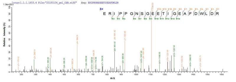 Based on the SEQUEST from database of E.coli host and target protein, the LC-MS/MS Analysis result of this product could indicate that this peptide derived from E.coli-expressed Simian immunodeficiency virus (isolate PBj14/BCL-3) (SIV-sm) (Simian immunodeficiency virus sooty mangabey monkey) vpx.Recombinant Simian Immunodeficiency Virus Protein Vpx (VPX) Protein (His-SUMO)