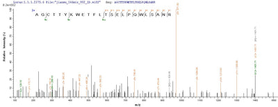 Based on the SEQUEST from database of E.coli host and target protein, the LC-MS/MS Analysis result of this product could indicate that this peptide derived from E.coli-expressed Mycobacterium kansasii fbpB.Recombinant Mycobacterium Kansasii Diacylglycerol Acyltransferase/Mycolyltransferase Ag85B (FBPB) Protein (His-SUMO&Myc)