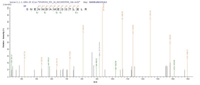 Based on the SEQUEST from database of E.coli host and target protein, the LC-MS/MS Analysis result of this product could indicate that this peptide derived from E.coli-expressed Influenza A virus (strain A/Hong Kong/1/1968 H3N2) NP.Recombinant Influenza A Virus Nucleoprotein (NP) Protein (His-SUMO)
