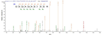 Based on the SEQUEST from database of E.coli host and target protein, the LC-MS/MS Analysis result of this product could indicate that this peptide derived from E.coli-expressed Serratia marcescens hns.