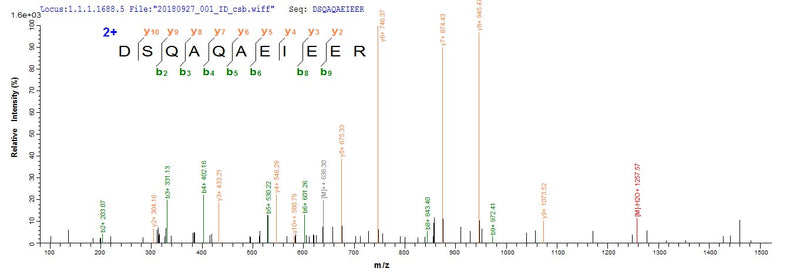 Based on the SEQUEST from database of E.coli host and target protein, the LC-MS/MS Analysis result of this product could indicate that this peptide derived from E.coli-expressed Serratia marcescens hns.